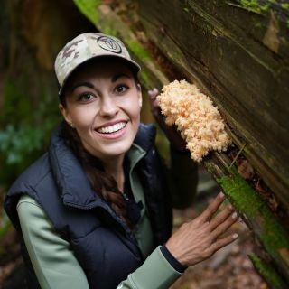 Korálovec 🍄 – houba pro mozek, nervy a duševní pohodu 🌿 Tahle nádherná houba s bílými „chloupky“ není jen ozdobou lesa,...